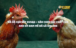 Đá gà cựa sắt sv368 – Sân chơi cực chất cho anh em đam mê đá gà online
