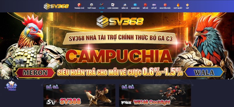 Lý do Đá Gà Philippines SV368 được yêu thích