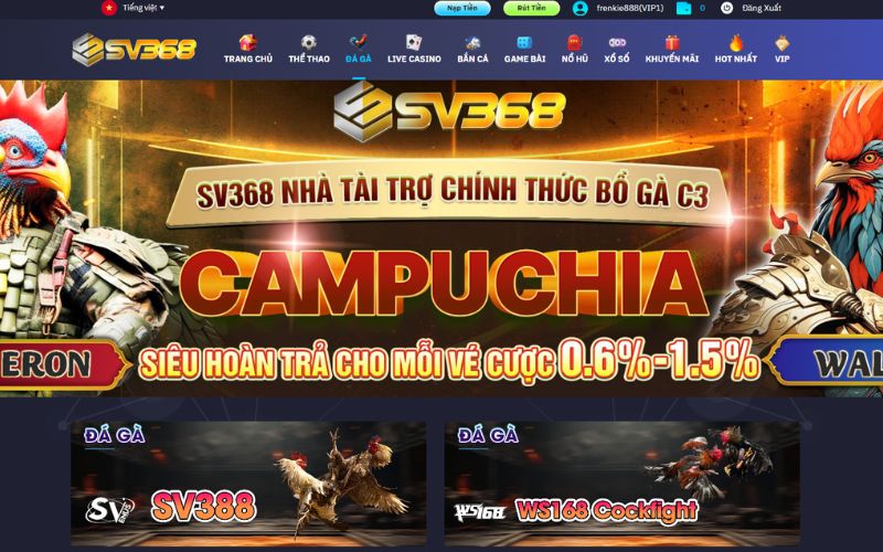 Sảnh Đá Gà SV368 có giao diện đẹp mắt