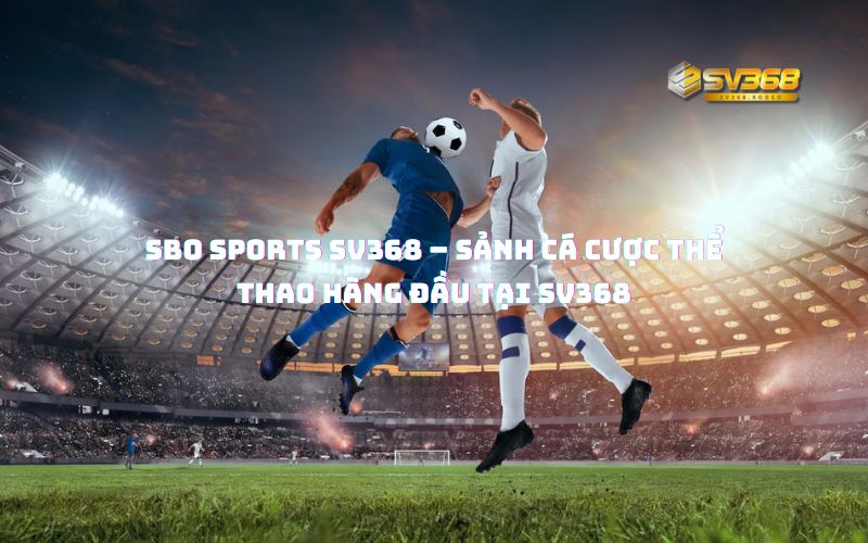 SBO Sports SV368 – Sảnh cá cược thể thao hàng đầu tại SV368